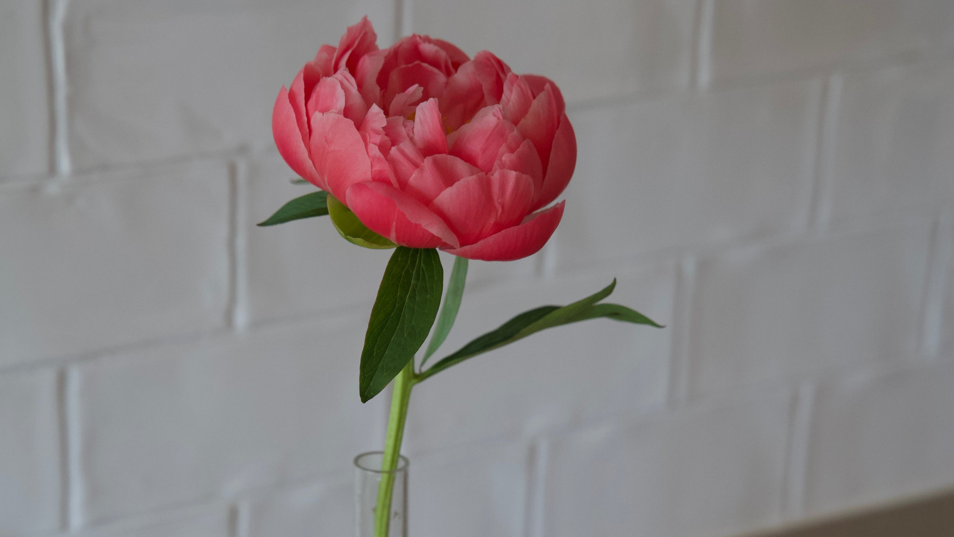 Candle Holder Vase 15 st/förp