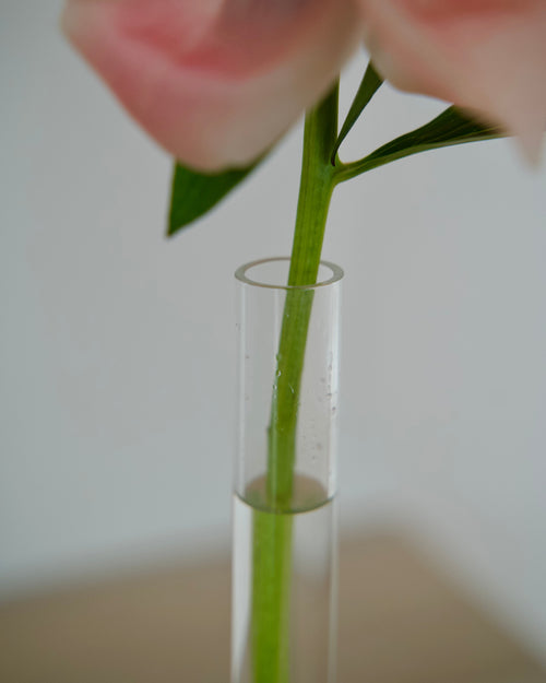 The Candle Holder Vase